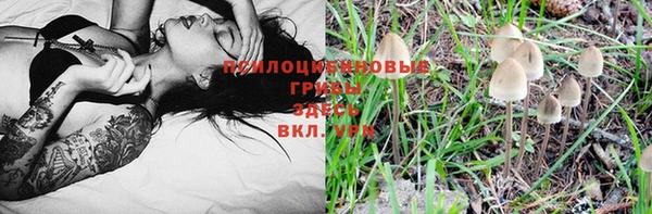 спайс Богородицк